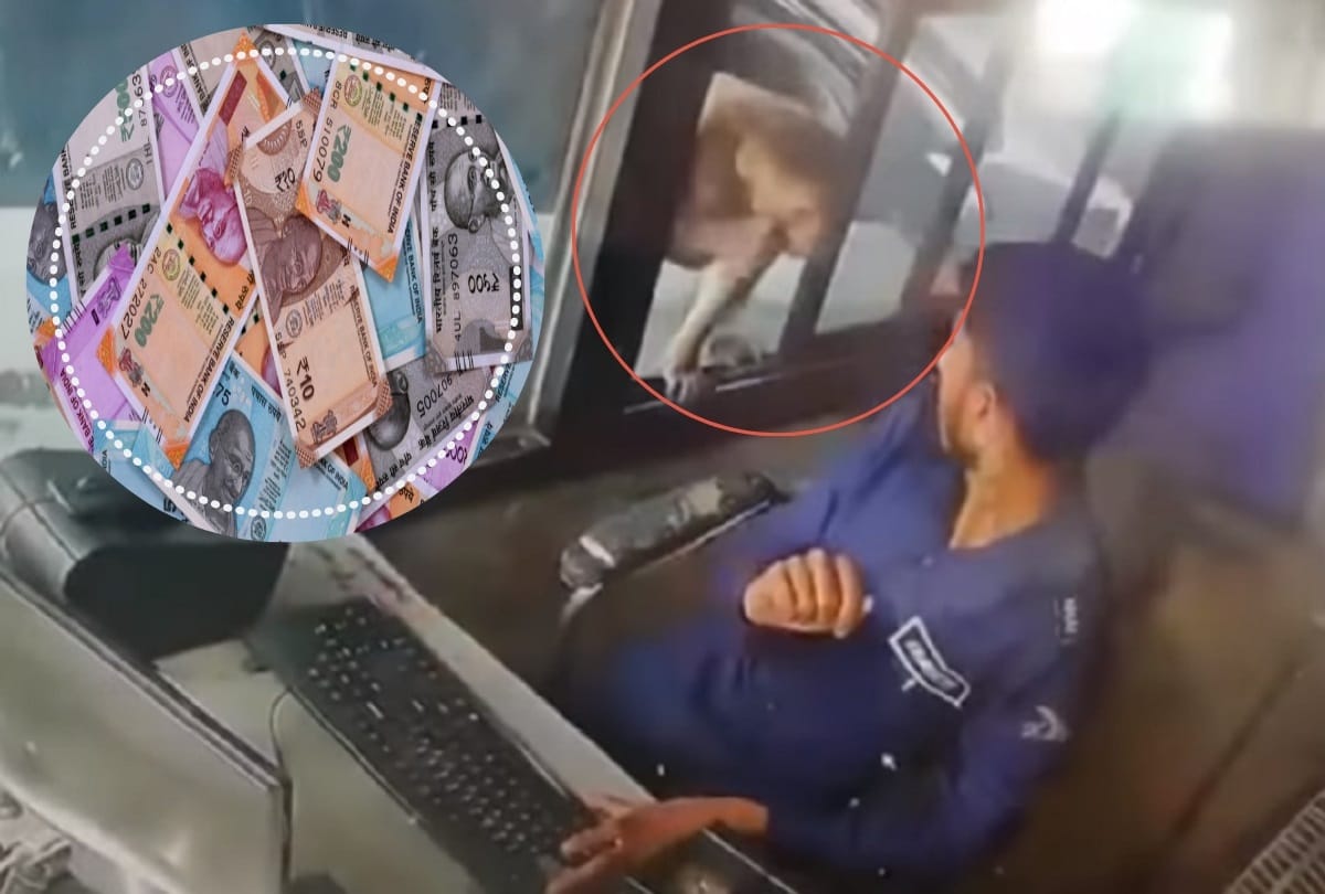 monkey steals money and escapes from toll booth in kanpur watch viral video 