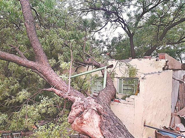 Storm storm: houses tin sheds fall, pillars-transformers damaged