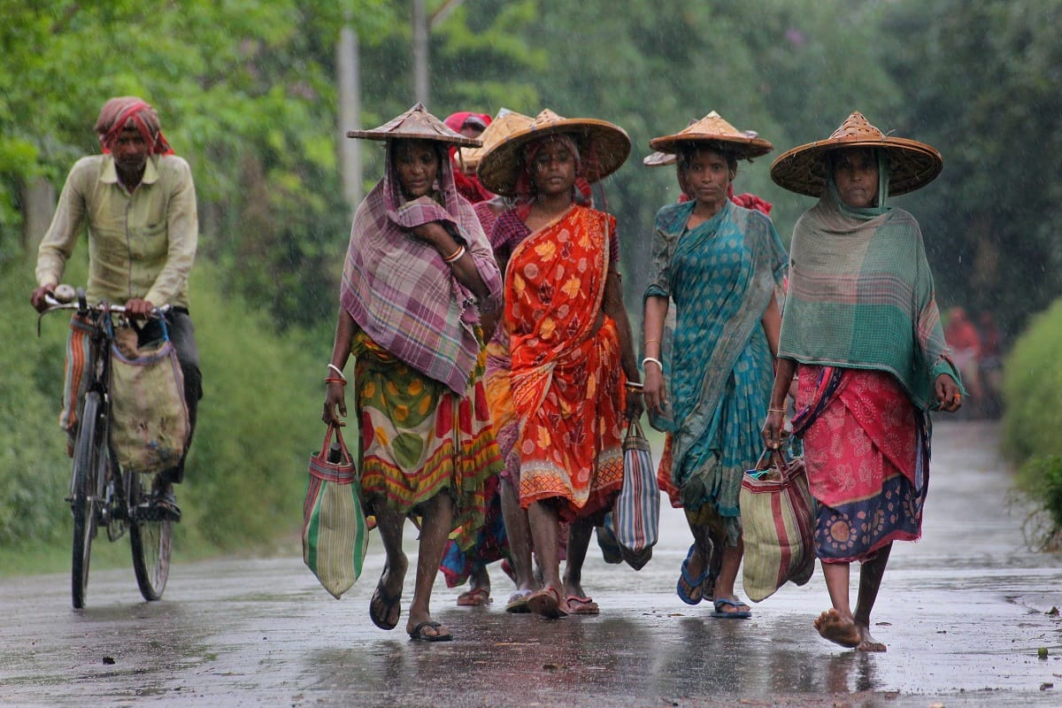 Union Budget 2019: Facility for women welfare from debt to overdraft
