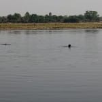 यमुना नदी