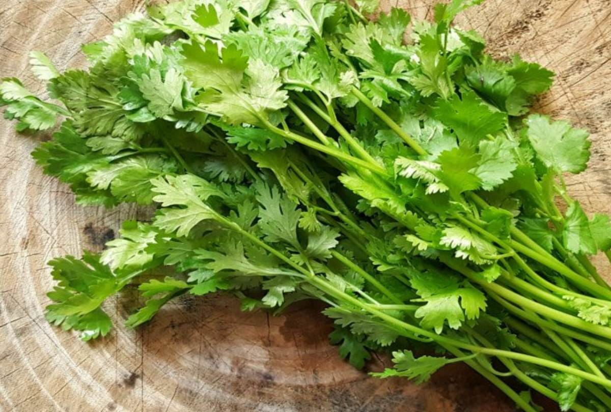 rate of green vegetables hiked In lucknow