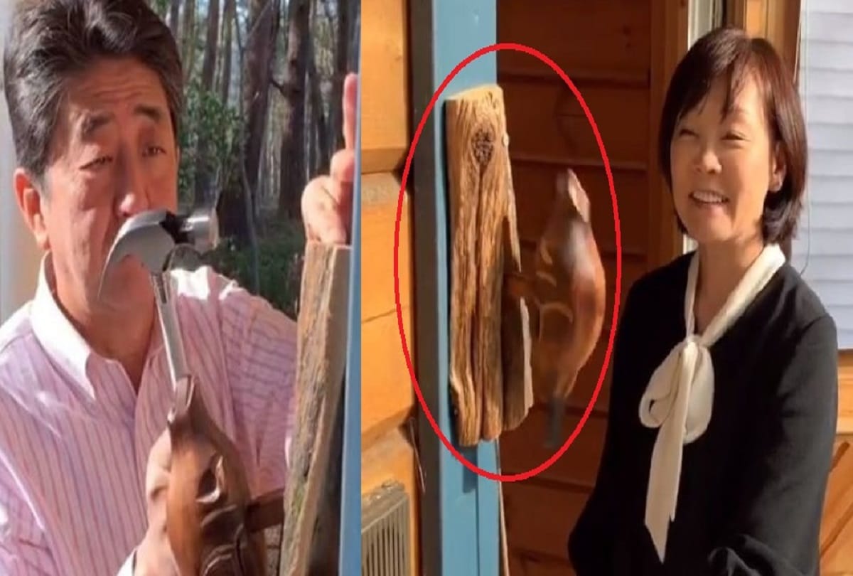 Japanese prime minister Shinzo Abe installs beaver-shaped door knocker he bought in Canada