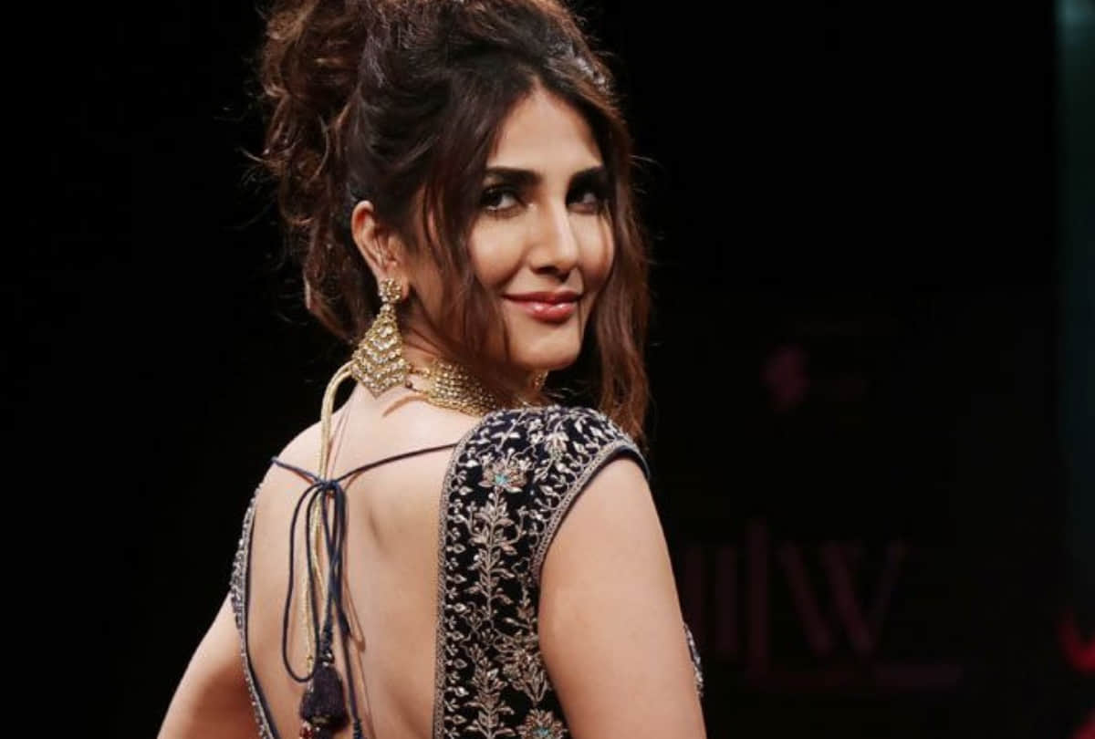 vani kapoor in film war read the interview