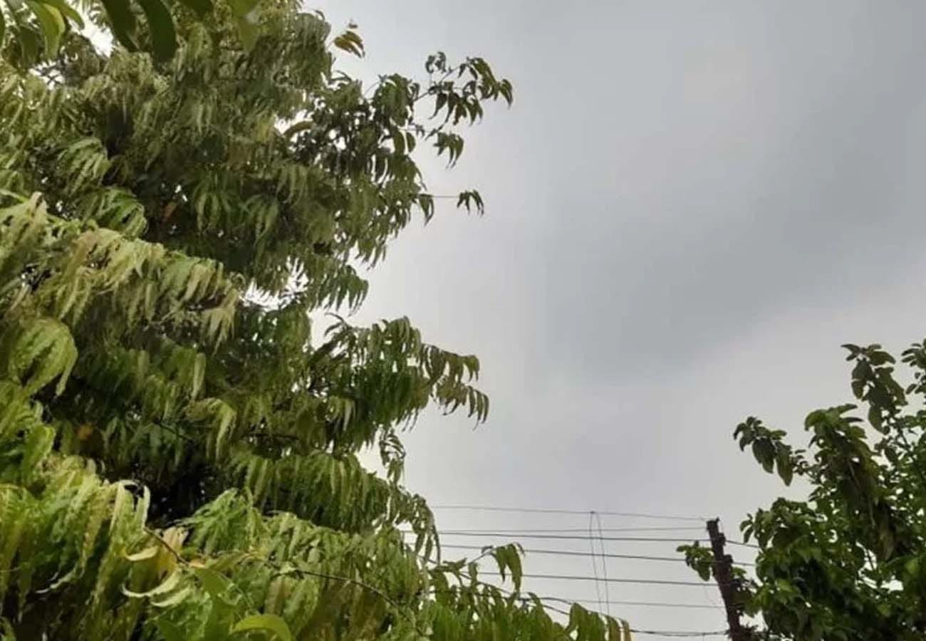 latest news related to weather department and Fani thunderstorm