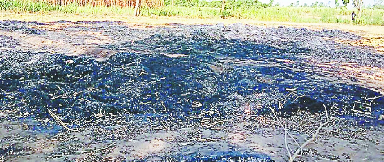 Shabby wire lying on farmers' hard work