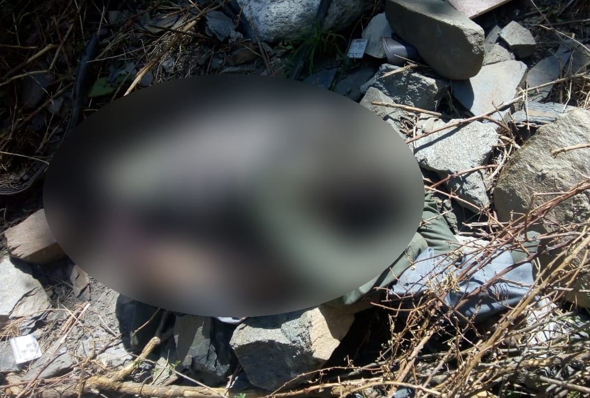 Five Killed In Accident near Mandi Himachal Pradesh As Alto Car Falls Into 300 meter deep Gorge