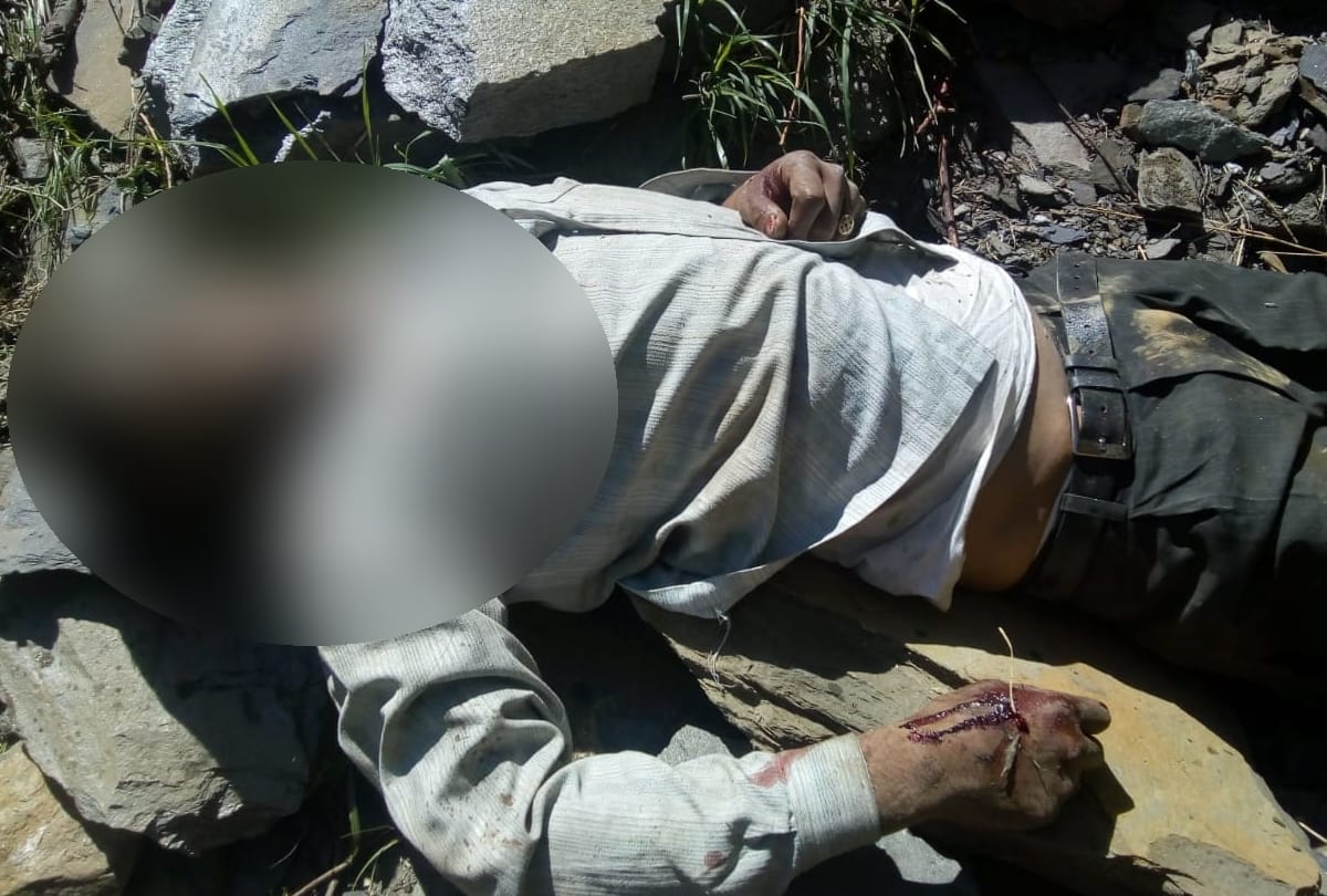 Five Killed In Accident near Mandi Himachal Pradesh As Alto Car Falls Into 300 meter deep Gorge