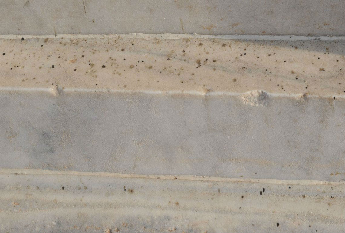 taj mahal's marble turns yellow and green due to insects attack