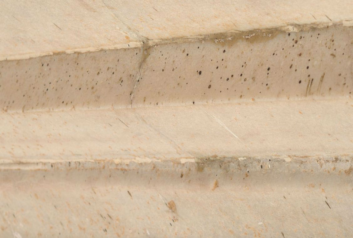 taj mahal's marble turns yellow and green due to insects attack
