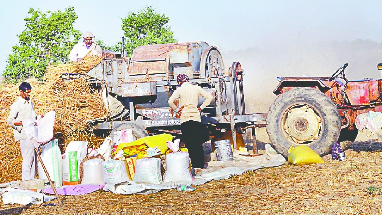 Farmers are forced to sell wheat below the support price