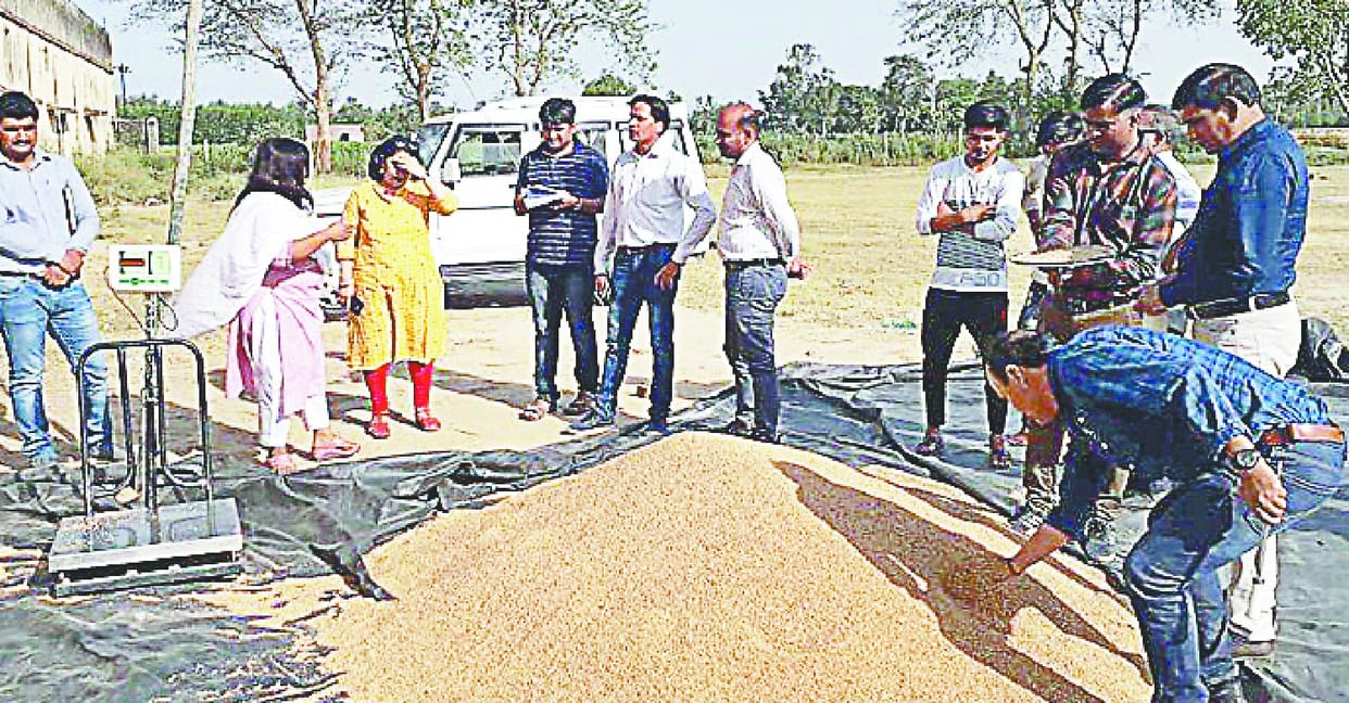 1 million 28 lakh bales of wheat