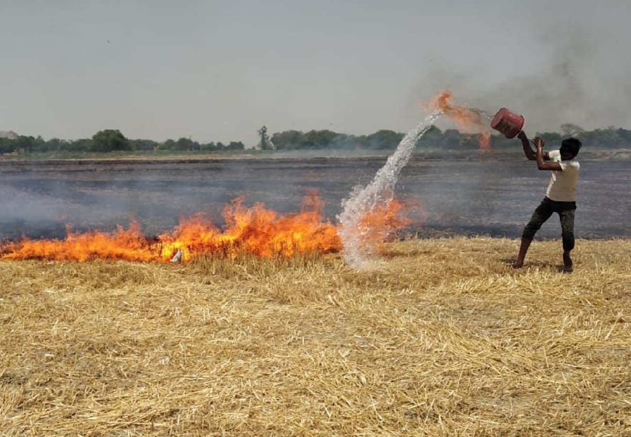 thirteen animal and sixteen house burnt into fire in fatehpur