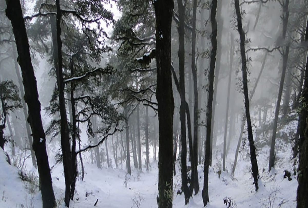 best places to visit in chakrata dehradun