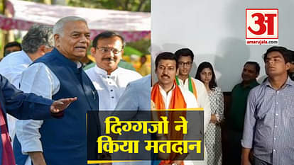 Yashwant Sinha, Rajyavardhan Singh Rathore, rajnath singh cast their vote