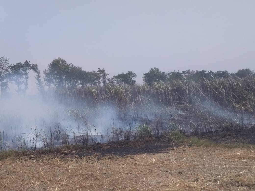 Penalty of twenty five thousand on a farmer after sugar cane leaf burnt in Saharanpur city