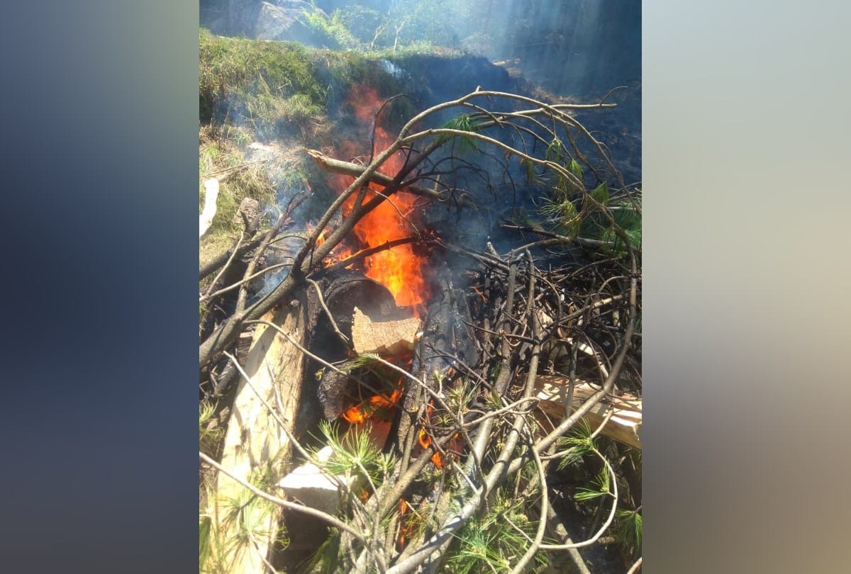Cremation of Four BJP workers Killed In car Accident Near Mandi Himachal Pradesh