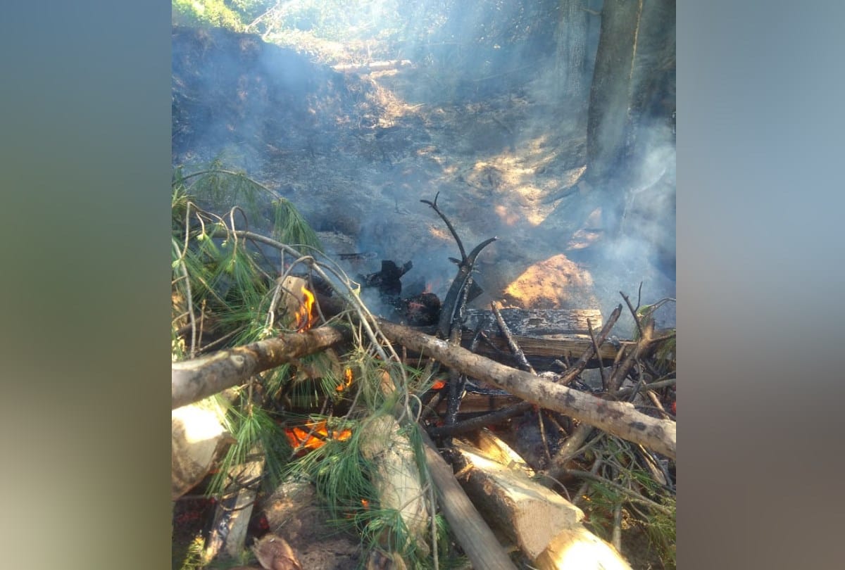 Cremation of Four BJP workers Killed In car Accident Near Mandi Himachal Pradesh