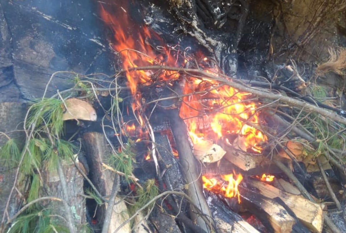 Cremation of Four BJP workers Killed In car Accident Near Mandi Himachal Pradesh