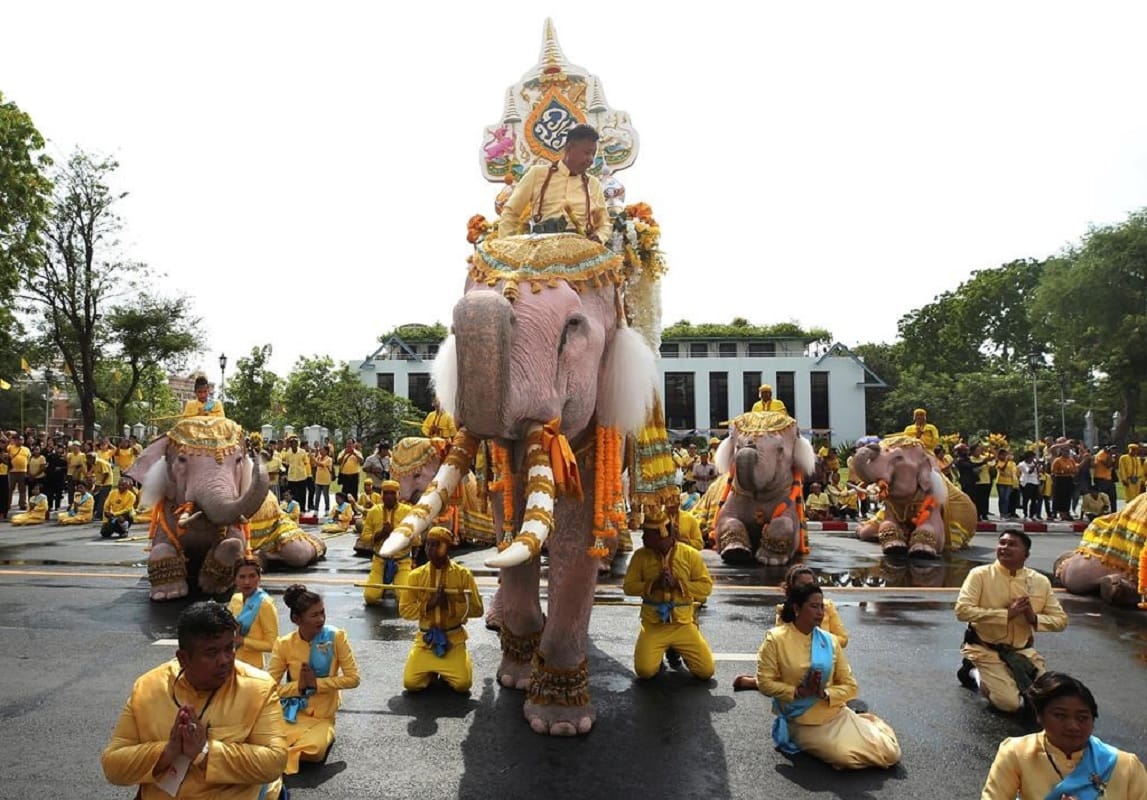 Elephants kneel in honor of new King of Thailand king maha vajiralongkorn