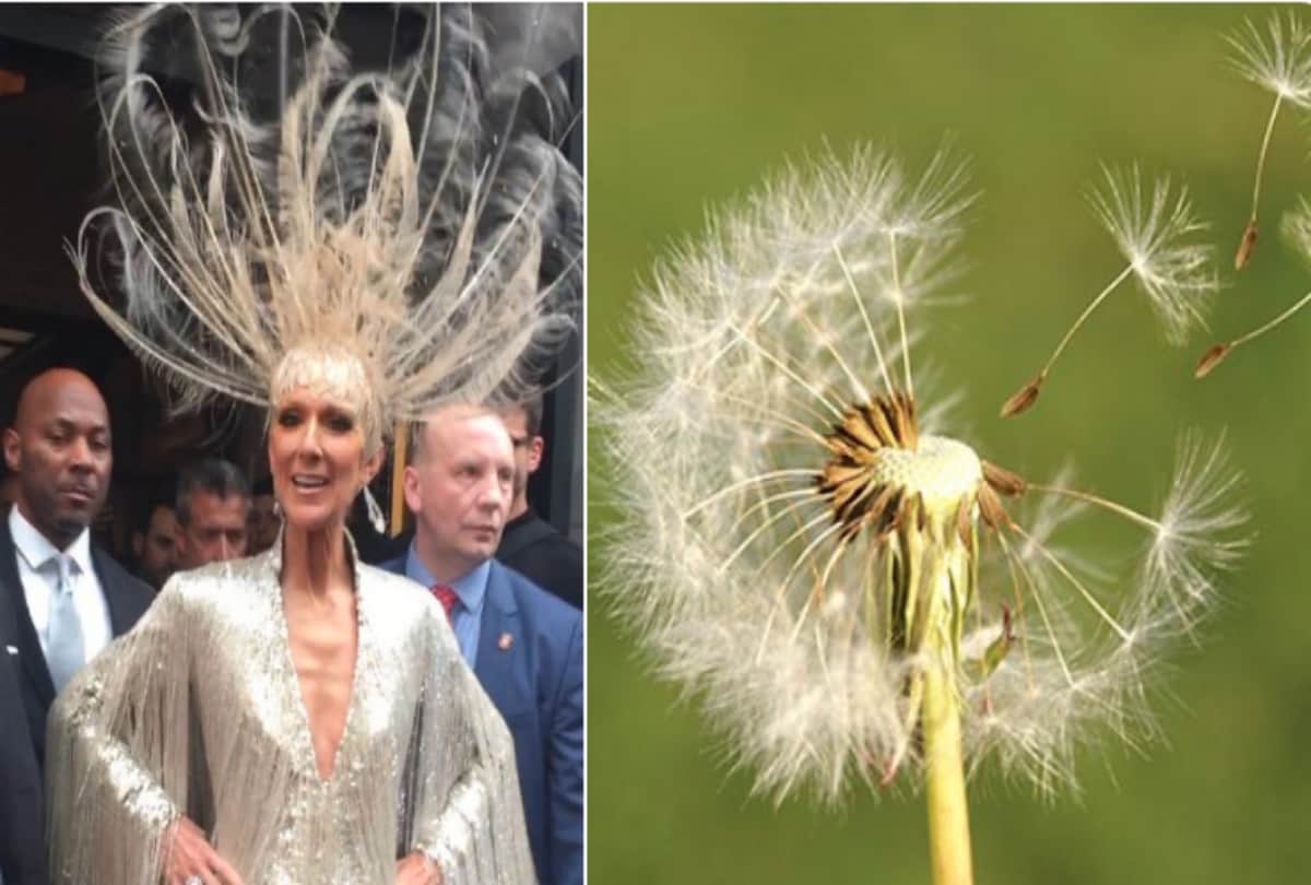 Twitter Is Having A Met Gala Time Making Memes On Celebs