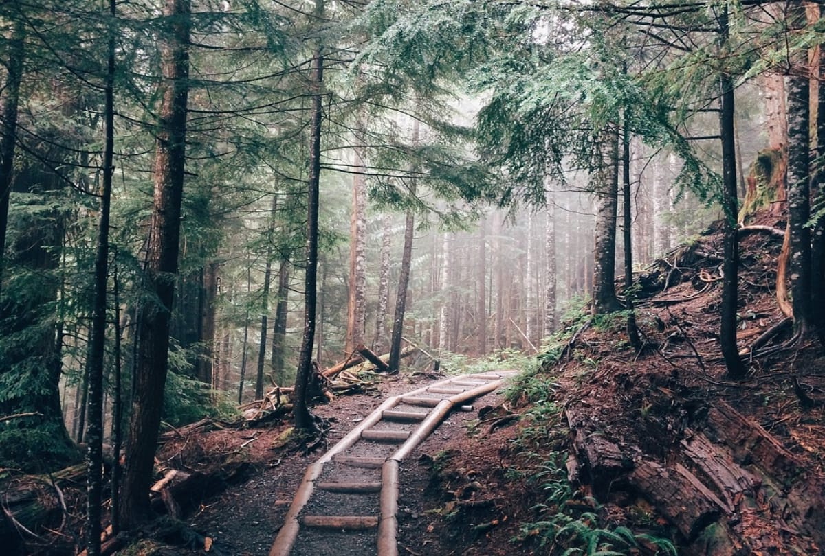 plan adventurous trekking trip with friends to sikkim