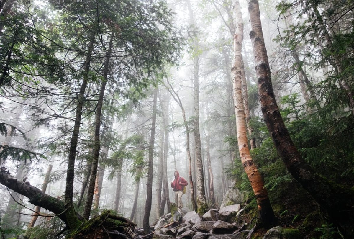 plan adventurous trekking trip with friends to sikkim
