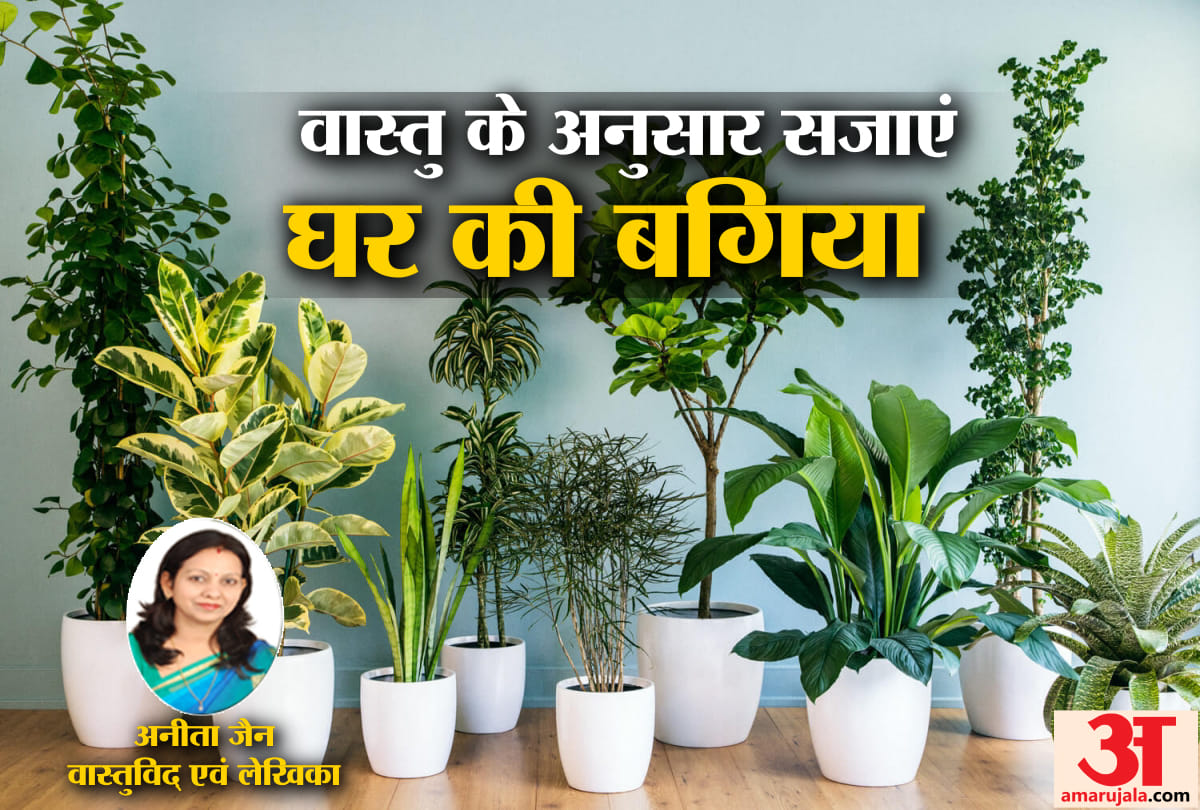 these six vast tips for home