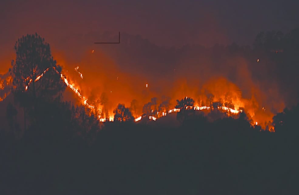 Forest Fire increase day by day in Hot Weather uttarakhand