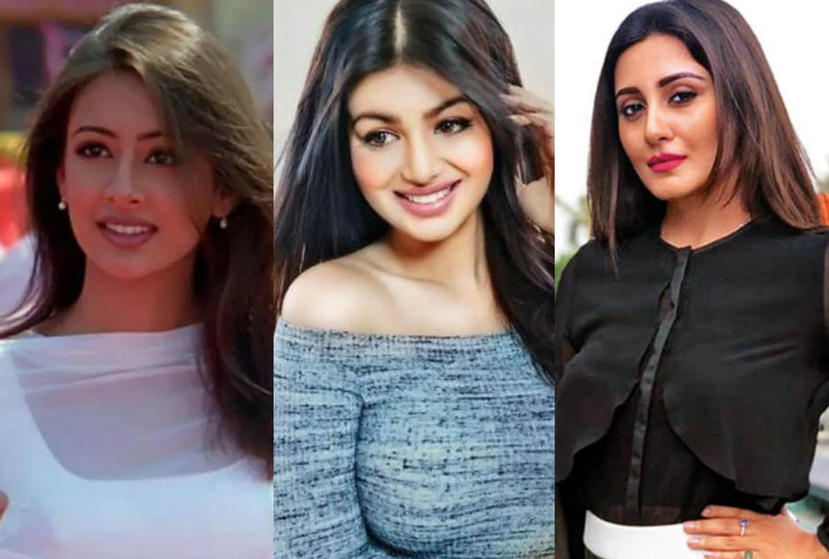 tanushree dutta to kim sharma these 18 actress flop in bollywood