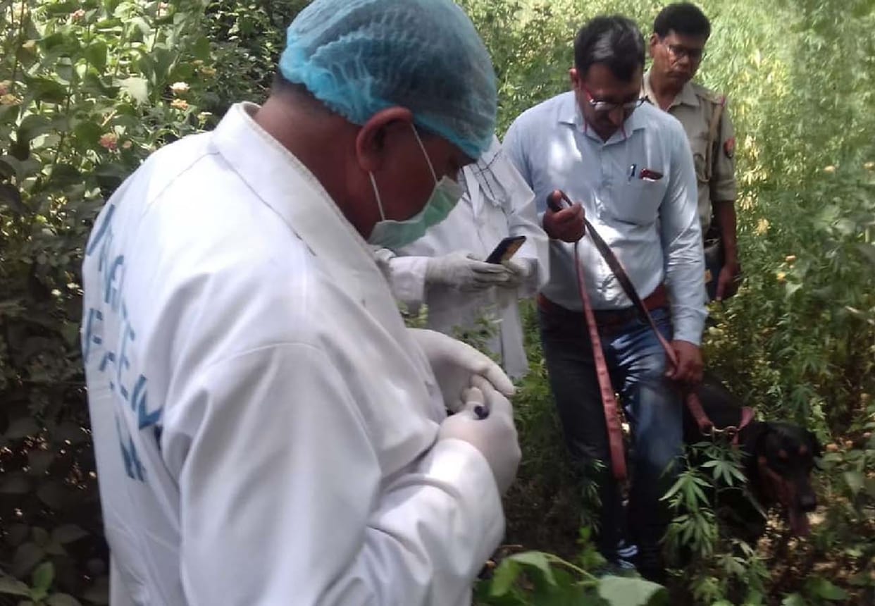 youngman brutally murdered in farrukhabad