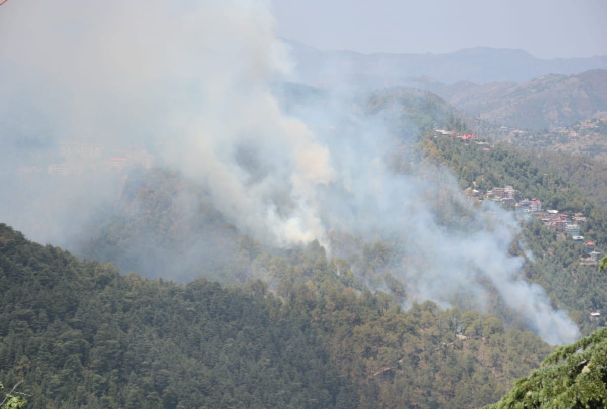fire broke out in forest adjoining to summer hill shimla