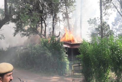fire broke out in forest adjoining to summer hill shimla