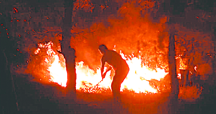 Now the forest of Dudgalia fire
