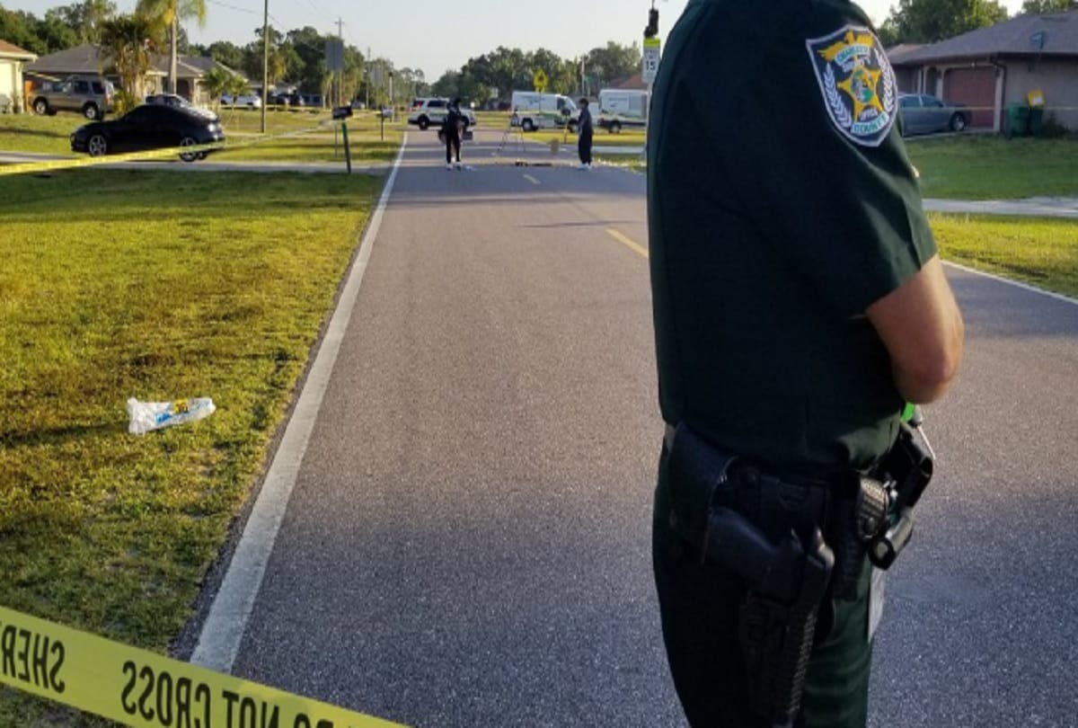 Small Crocodile found from woman yoga pants in Florida