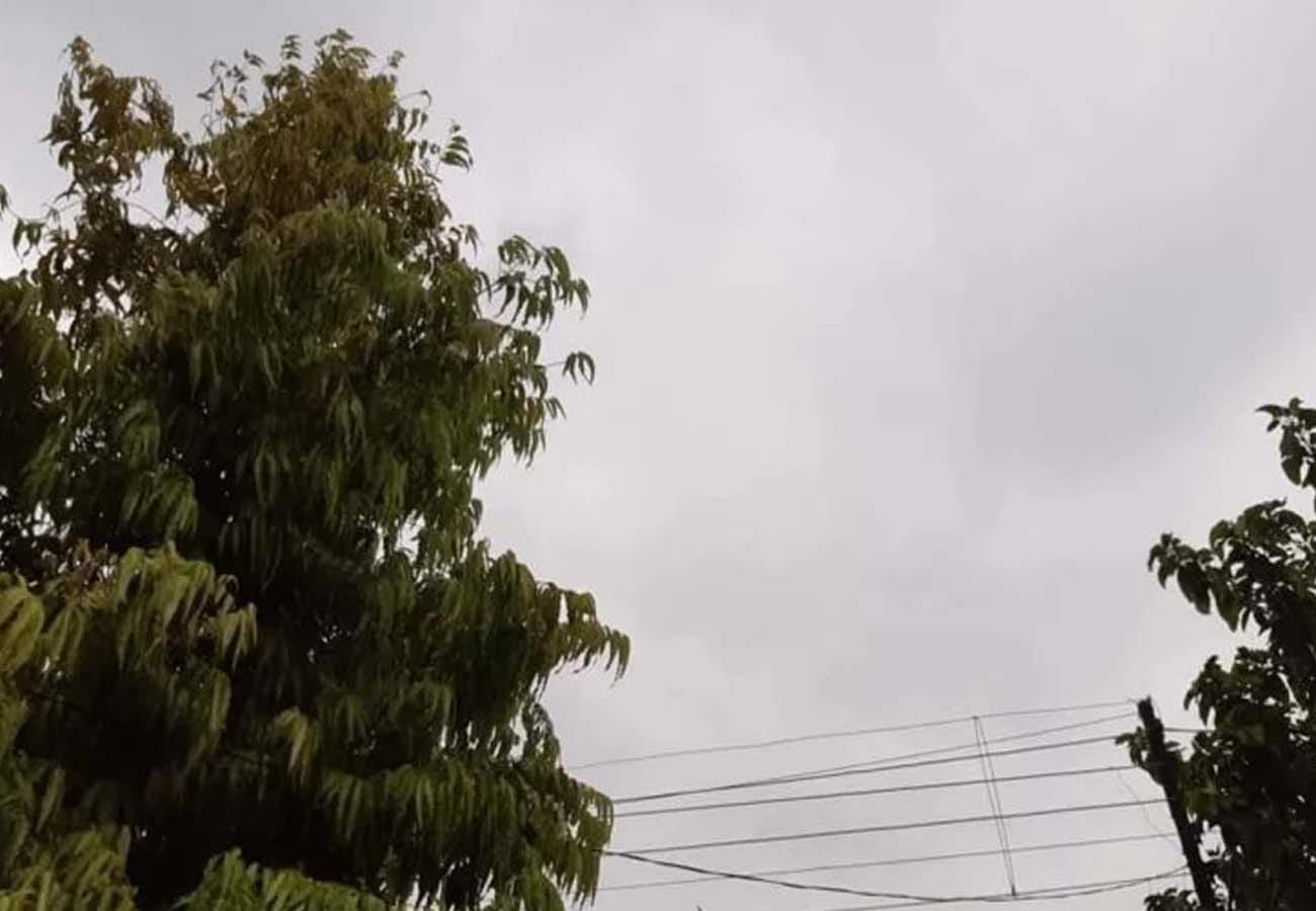 latest news related to weather department, must read