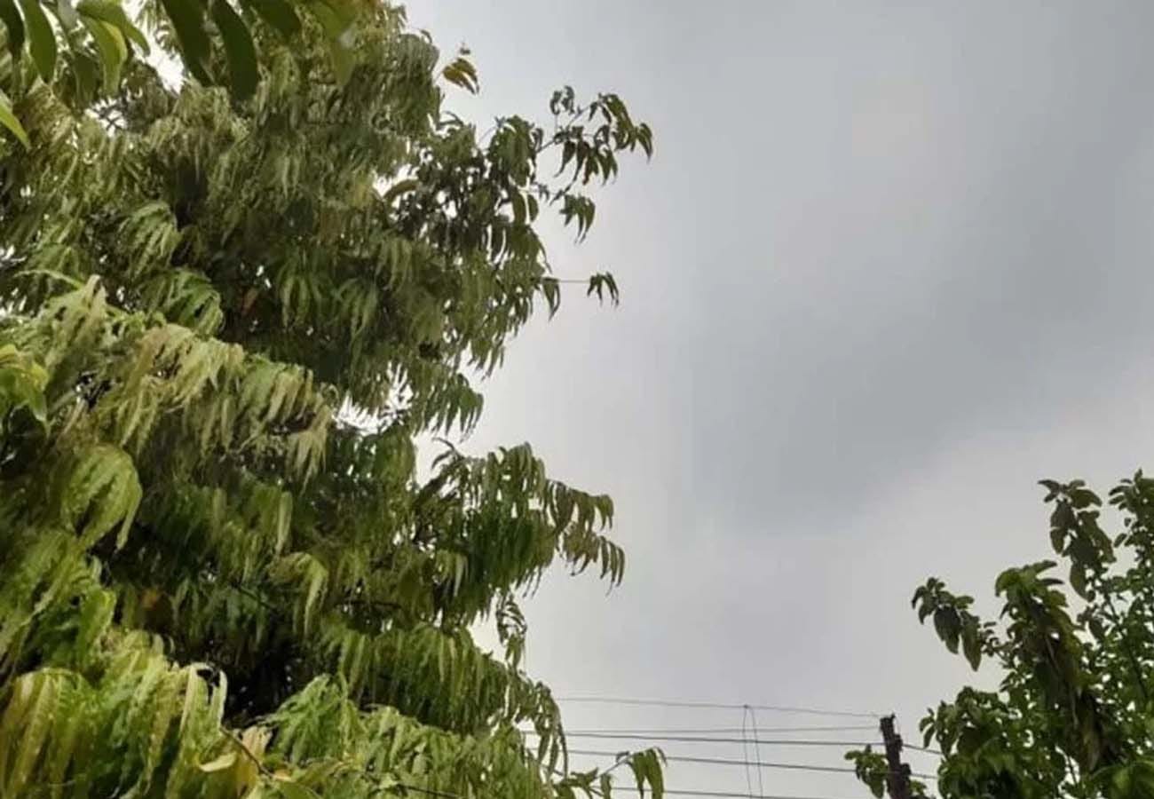 latest news related to weather department, must read