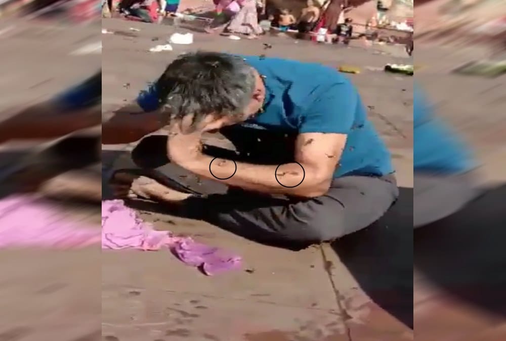 Bees Attack on tourist panic in hari pauri haridwar 
