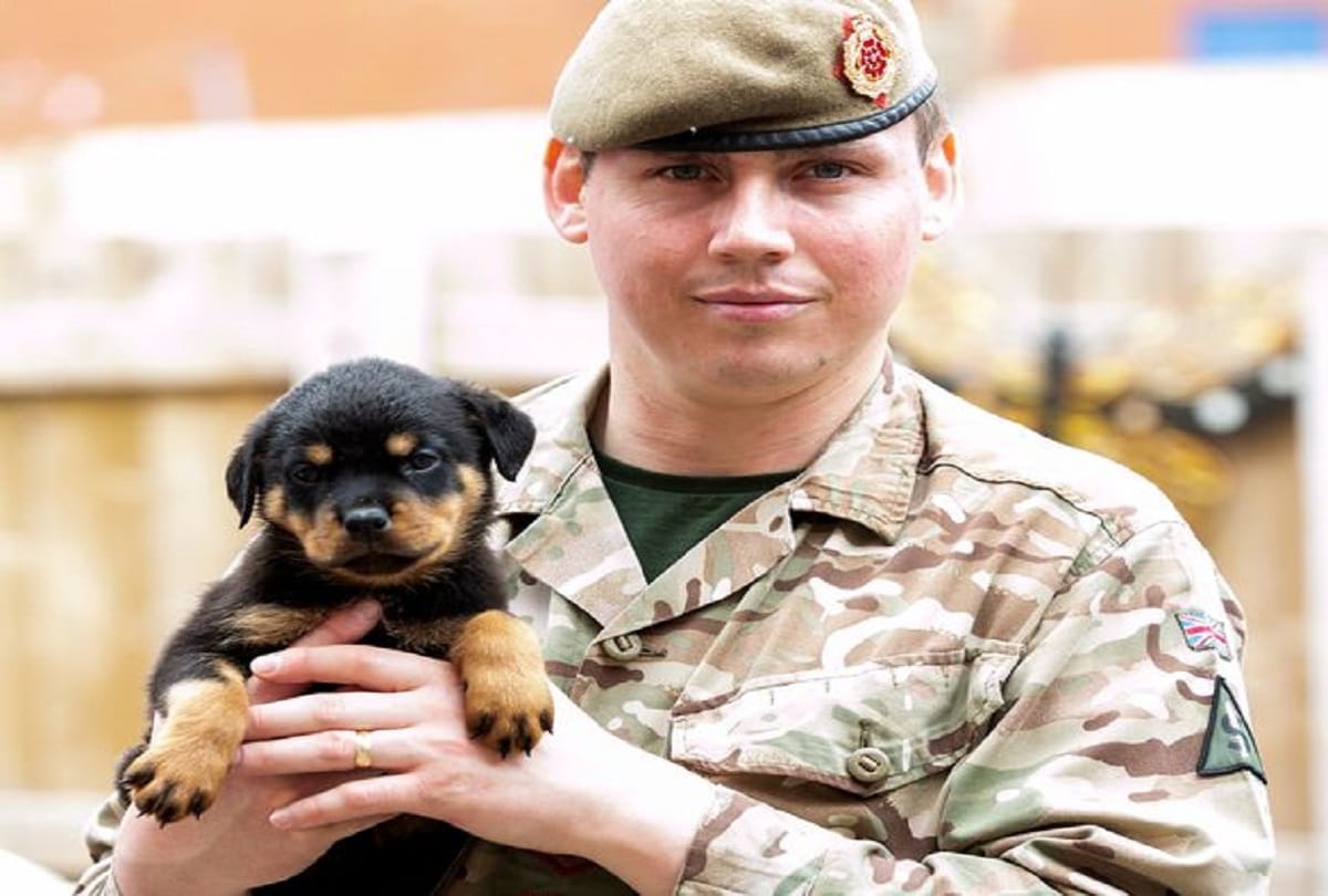 Rottweiler Dog gave birth to 16 puppies together in Britain