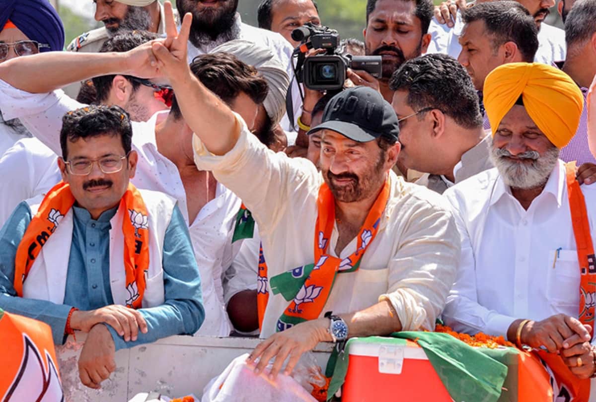 Sunny Deol appointed Gurpreet Palheri Gurdaspur representative troll on social media