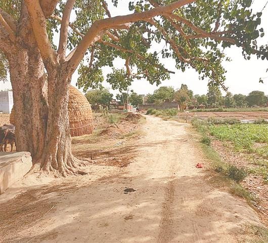 Now millions of people in MNREGA