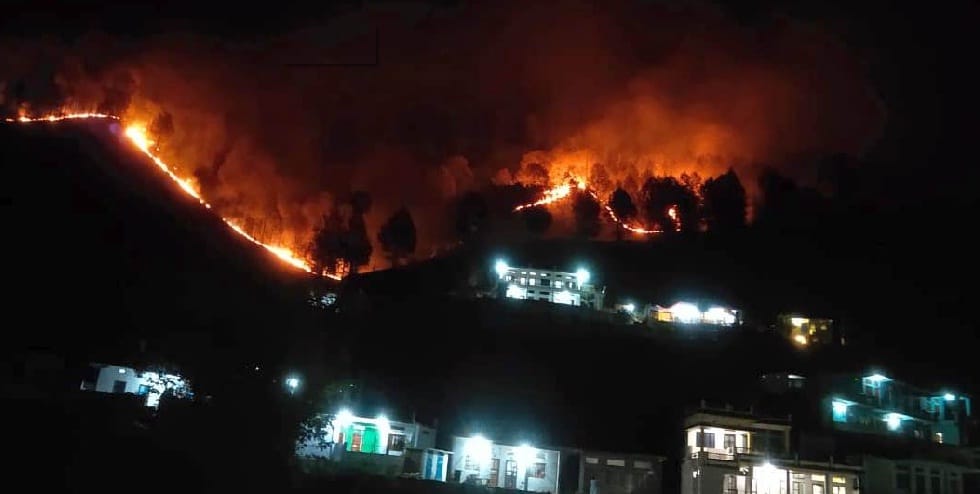 Damage to all sides by fire, both men and animals bothered