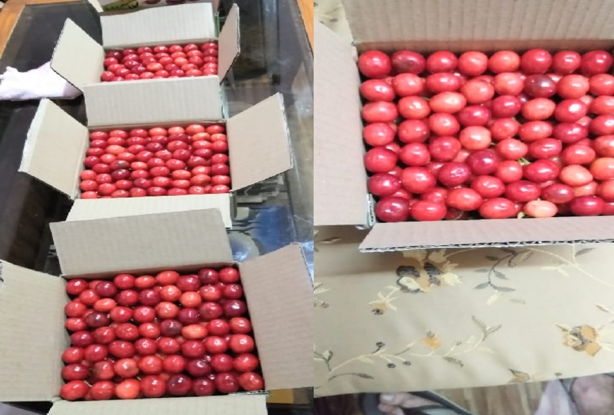 Box of cherry buy in 40 and sold in 150 rupees in himachal