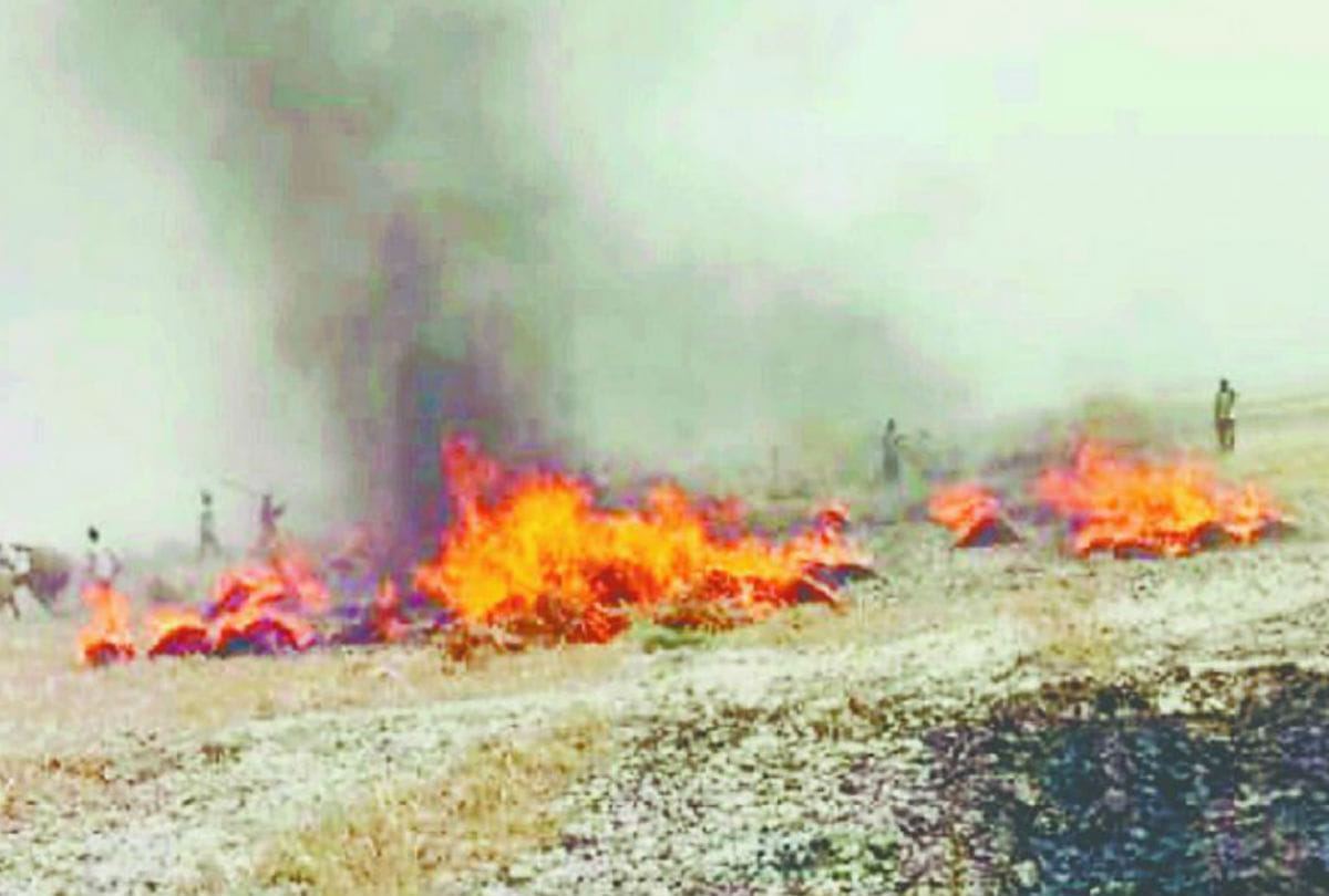 hundreds of acres wheat crop burnt due to fire in kasganj