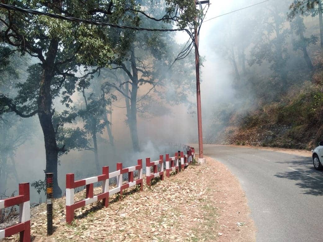 big fire in nainital forest photos