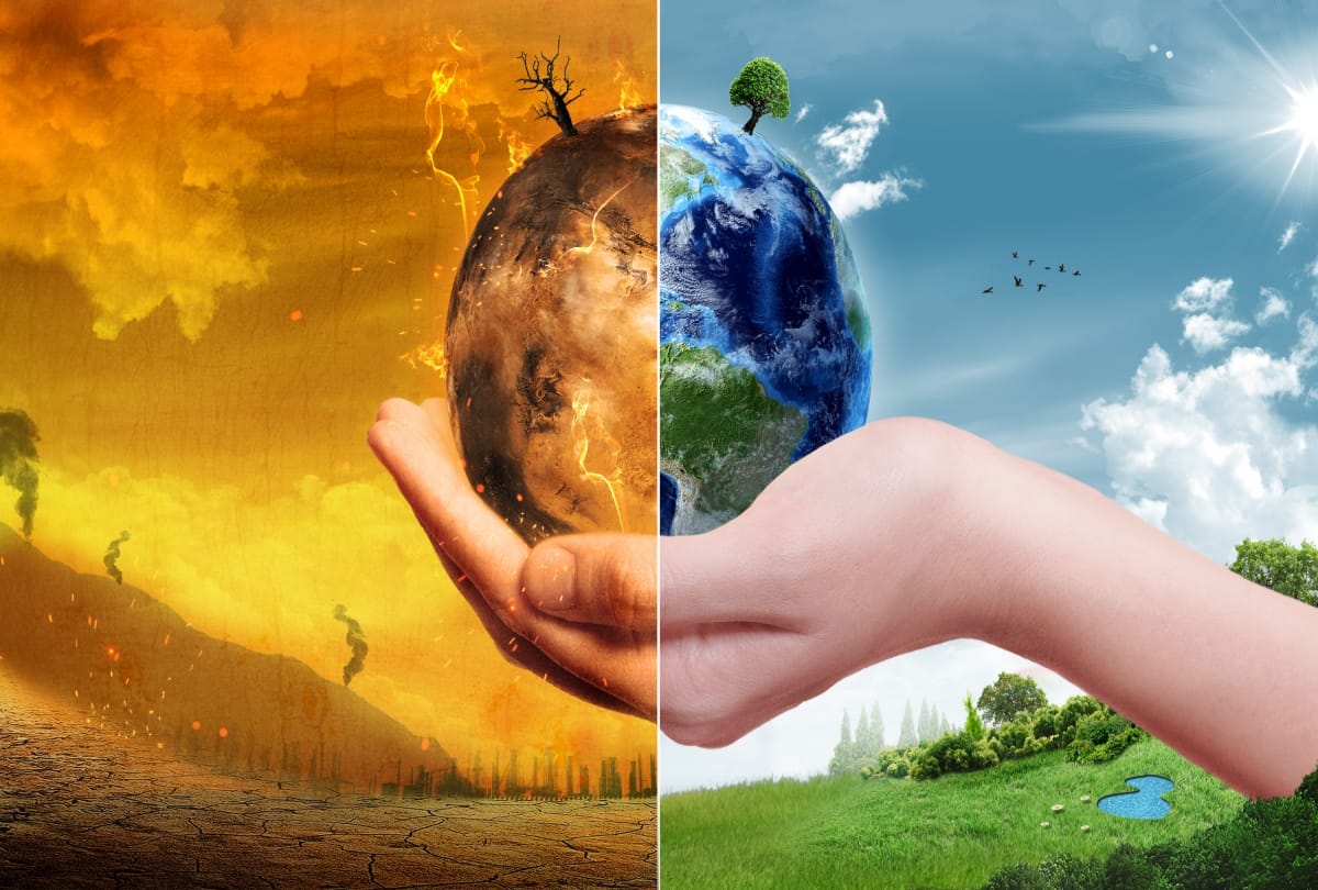 global warming harmful effect