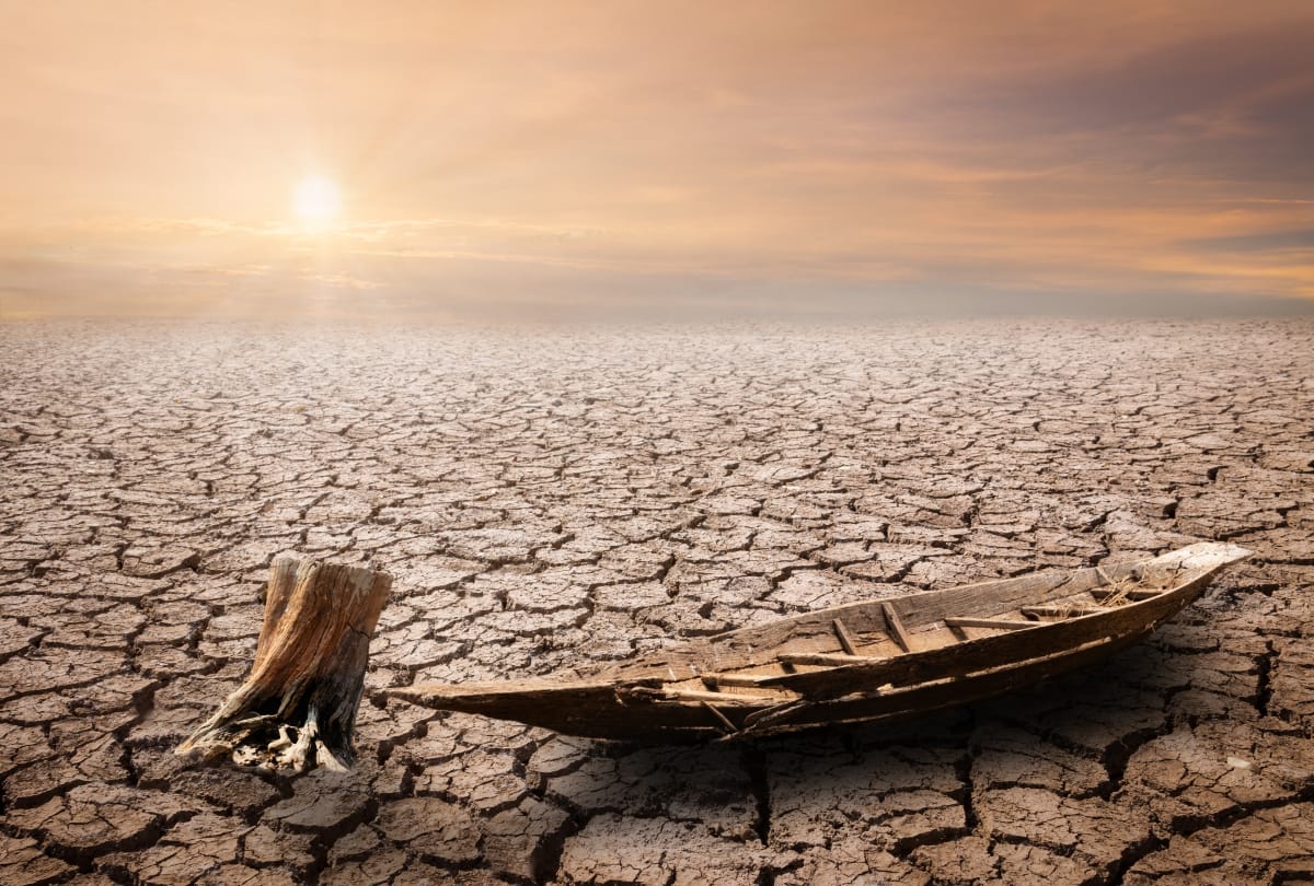 global warming harmful effect