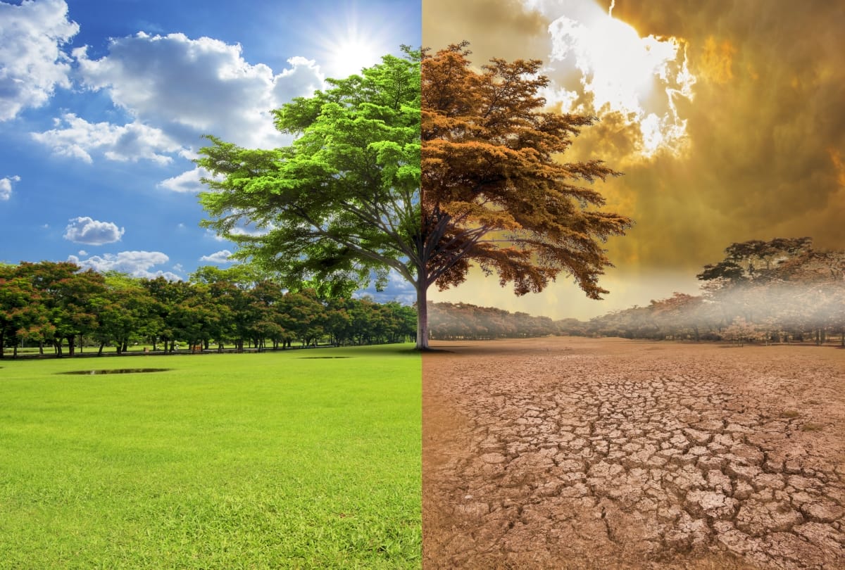 World Environment Day 2019: Different changes in environment due to global warming