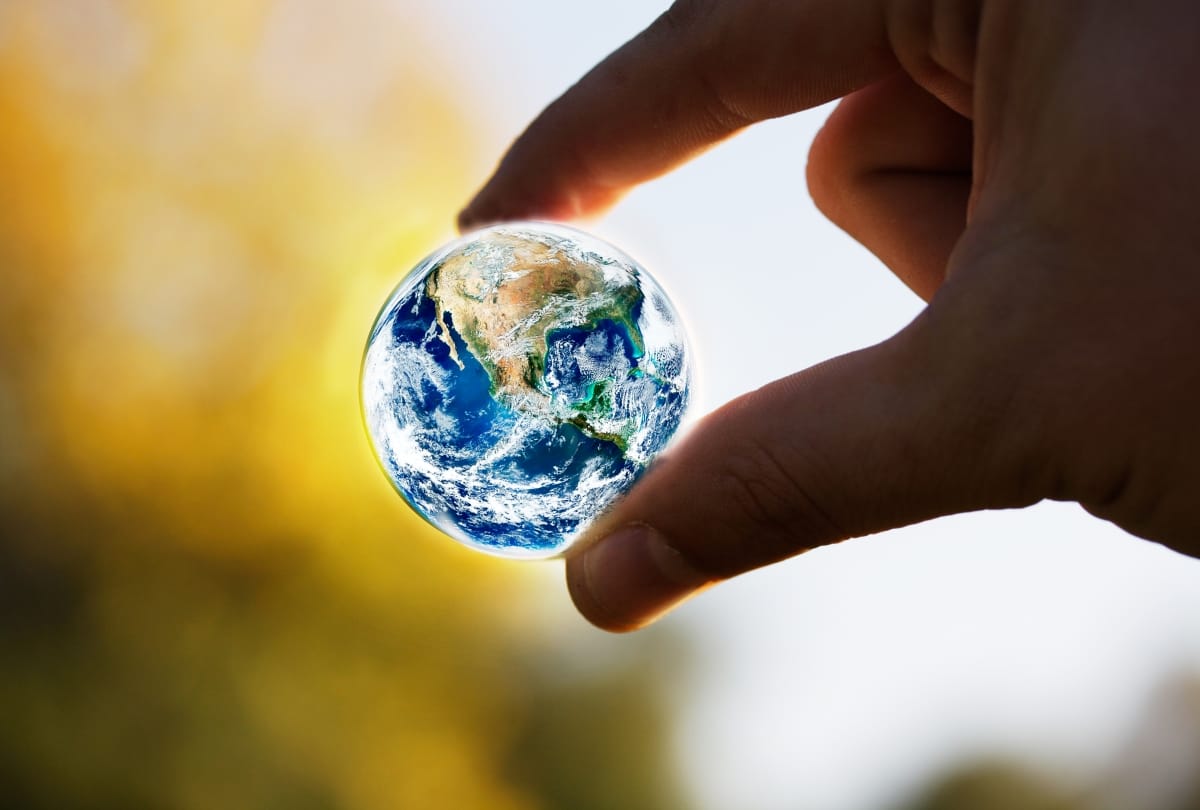 Weather Update: Global warming and disease amidst rain, heavy on life