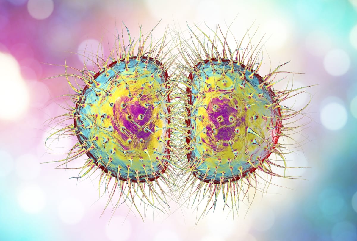 symptom and treatment of meningitis