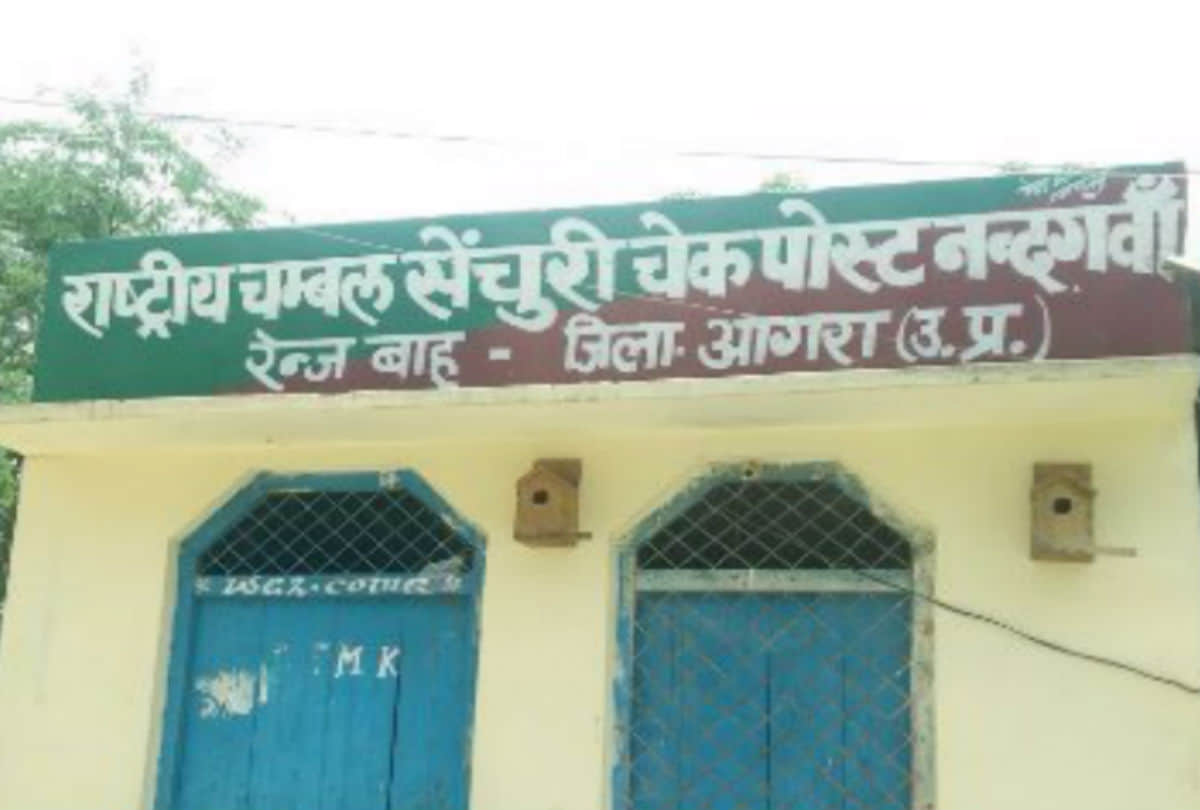 four leopards have died in Chambal Sanctuary in Agra